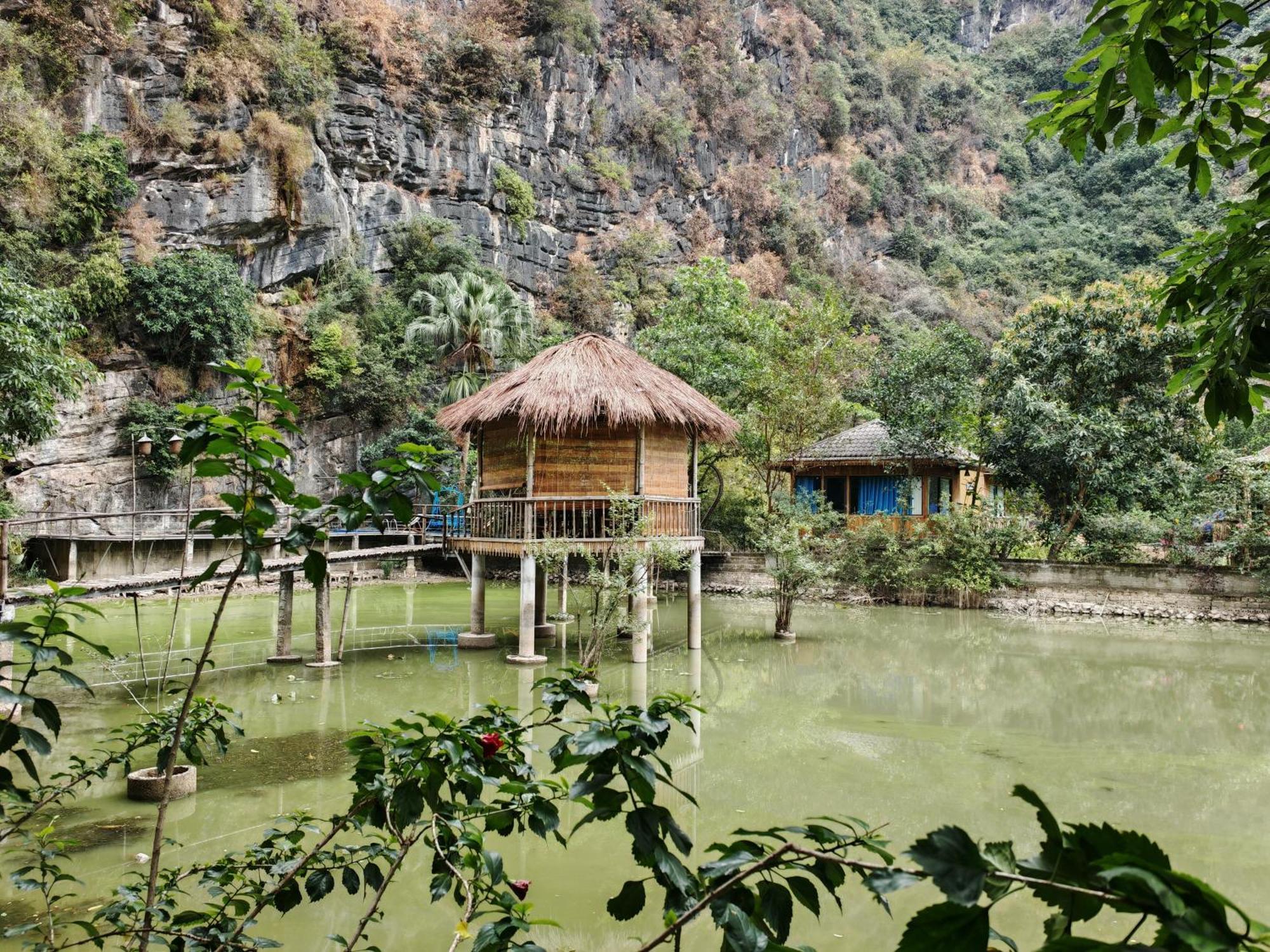 Green Valley Homestay - Thung Lung Xanh Nguyen Ngoai Eksteriør billede
