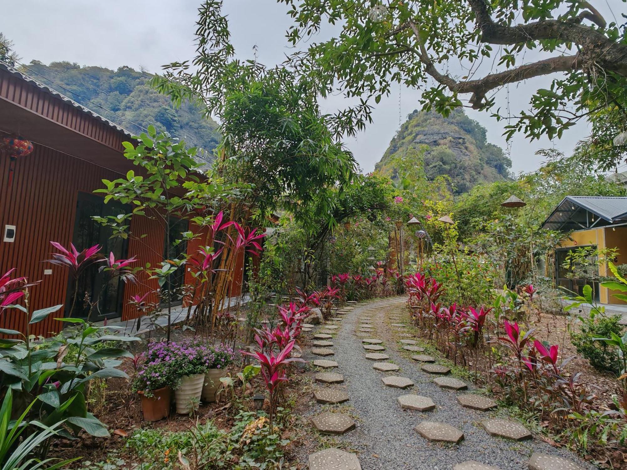 Green Valley Homestay - Thung Lung Xanh Nguyen Ngoai Eksteriør billede