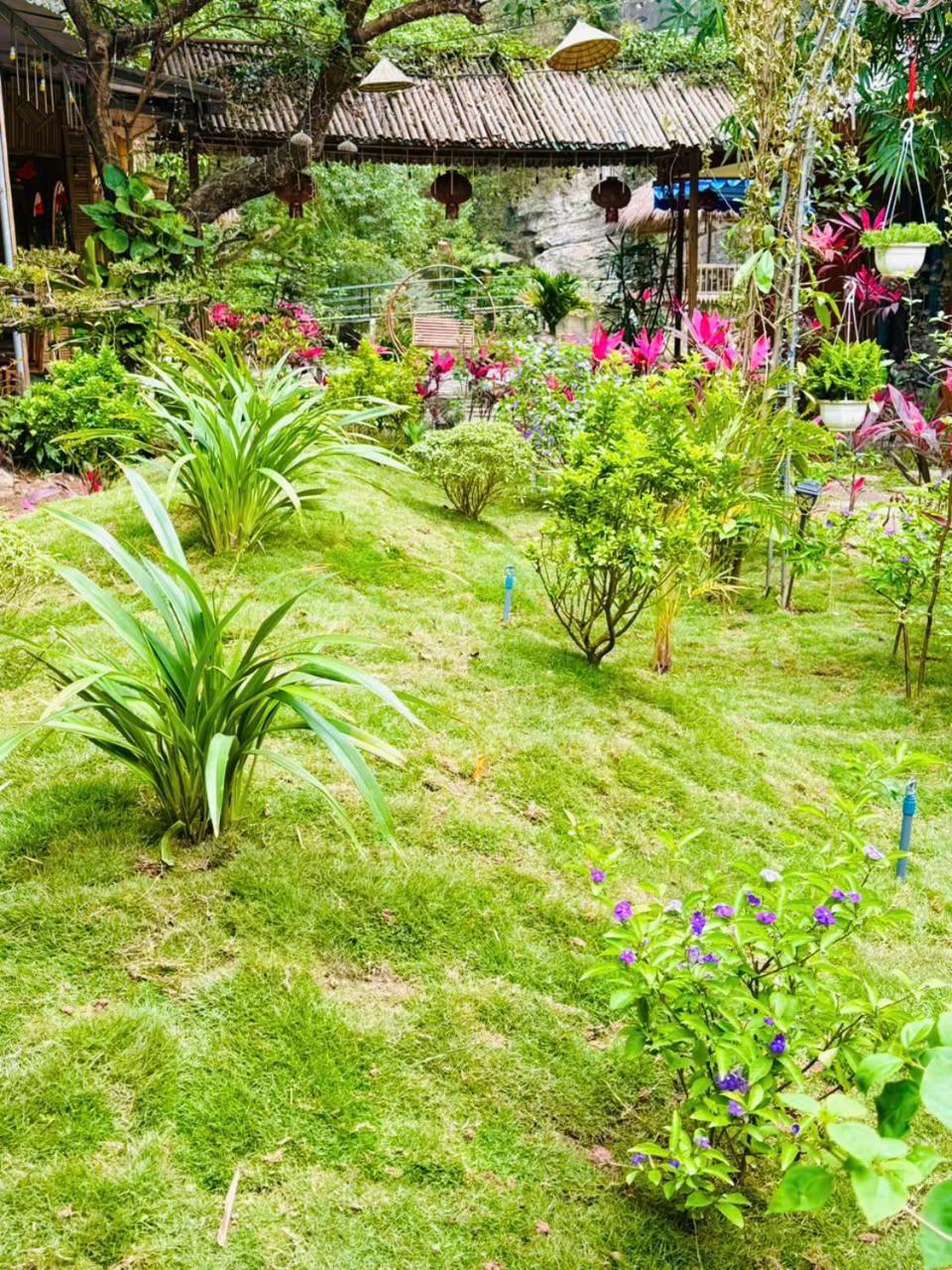 Green Valley Homestay - Thung Lung Xanh Nguyen Ngoai Eksteriør billede