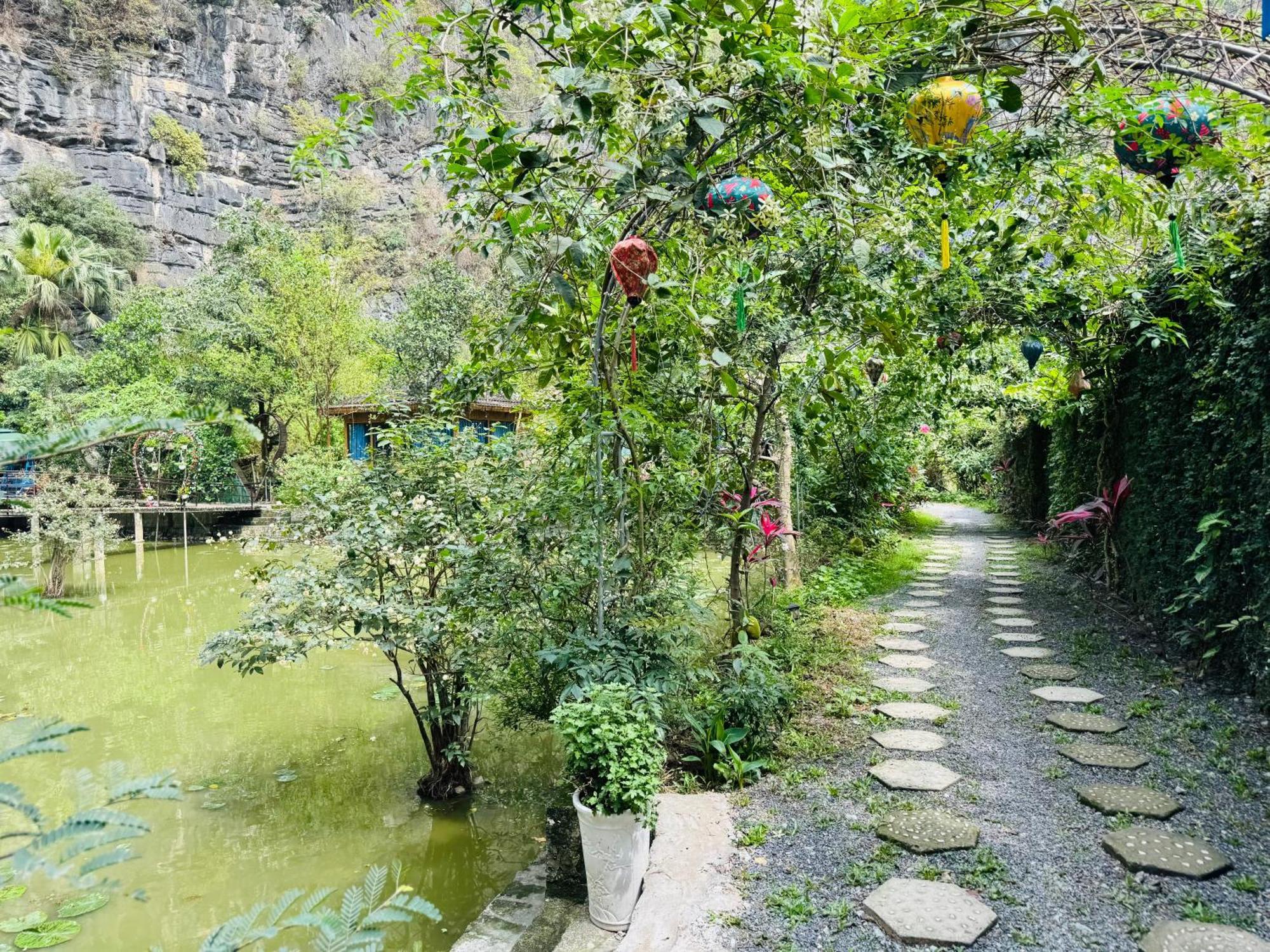 Green Valley Homestay - Thung Lung Xanh Nguyen Ngoai Eksteriør billede