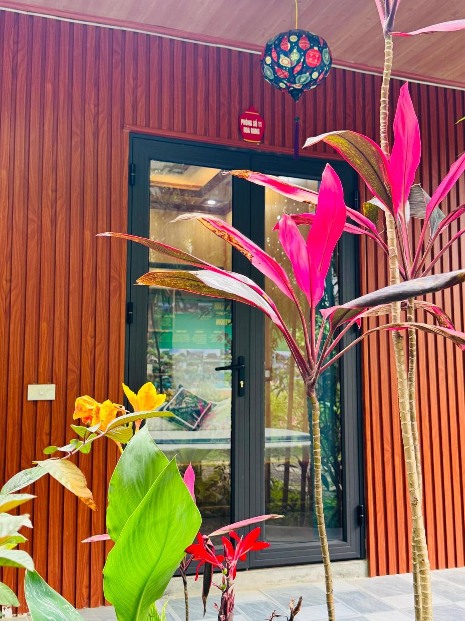 Green Valley Homestay - Thung Lung Xanh Nguyen Ngoai Eksteriør billede