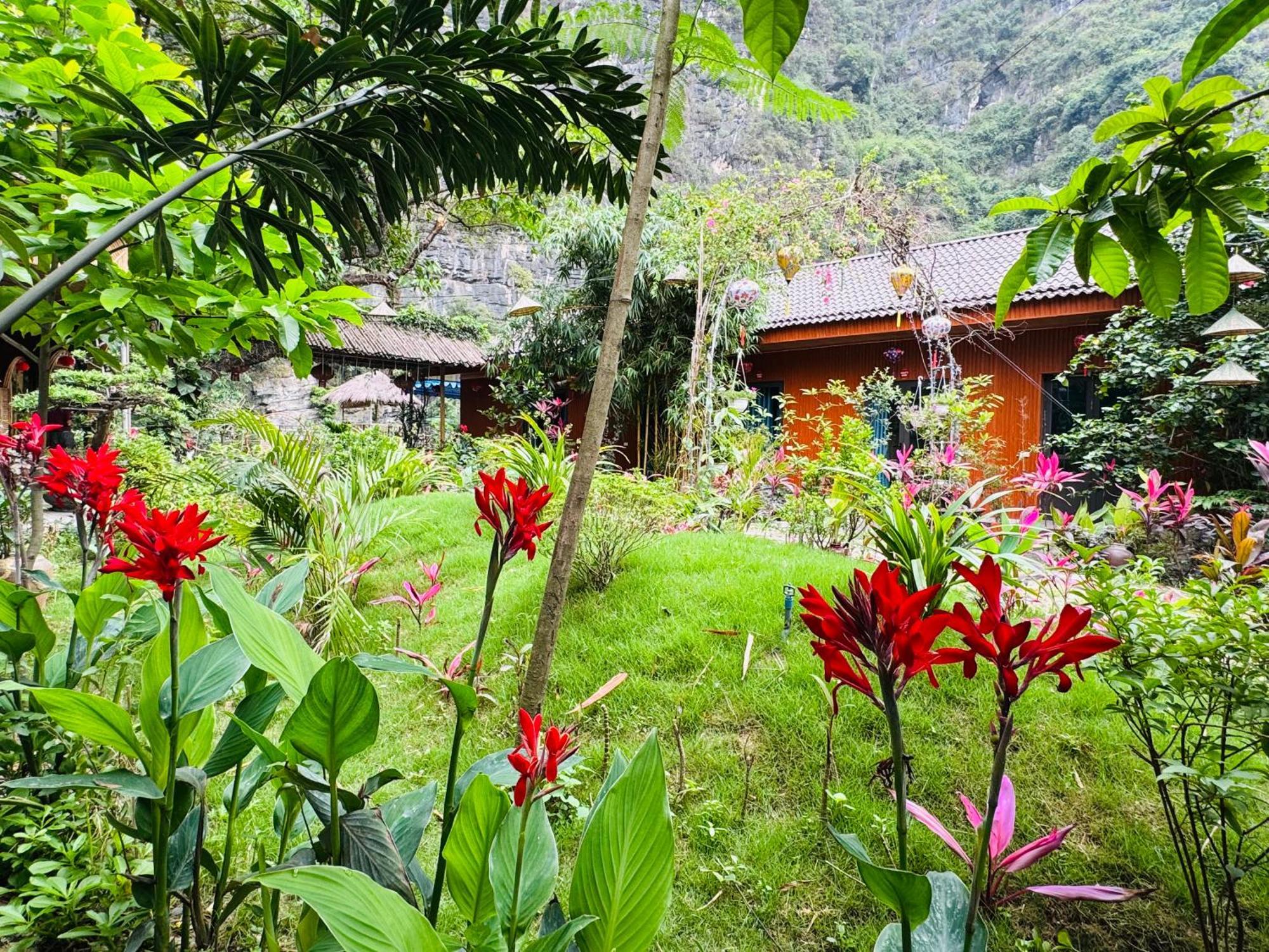 Green Valley Homestay - Thung Lung Xanh Nguyen Ngoai Eksteriør billede